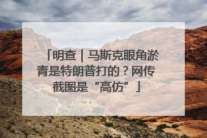明查｜马斯克眼角淤青是特朗普打的？网传截图是“高仿”