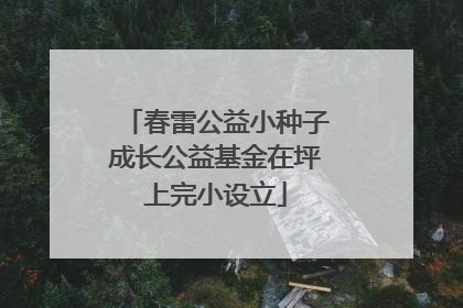 春雷公益小种子成长公益基金在坪上完小设立