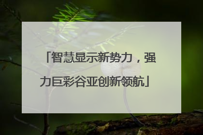 智慧显示新势力，强力巨彩谷亚创新领航