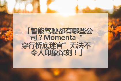 智能驾驶都有哪些公司？Momenta“穿行桥底迷宫”无法不令人印象深刻！