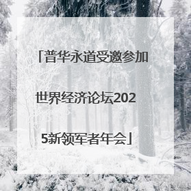 普华永道受邀参加世界经济论坛2025新领军者年会