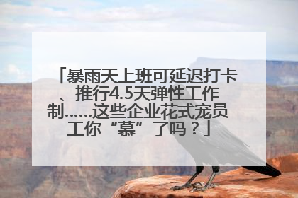 暴雨天上班可延迟打卡、推行4.5天弹性工作制……这些企业花式宠员工你“慕”了吗？