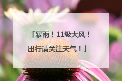 暴雨！11级大风！出行请关注天气！