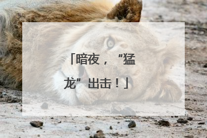 暗夜，“猛龙”出击！