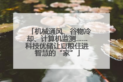 机械通风、谷物冷却、计算机监测……科技优储让夏粮住进智慧的“家”