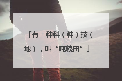 有一种科（种）技（地），叫“吨粮田”