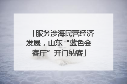 服务涉海民营经济发展，山东“蓝色会客厅”开门纳客