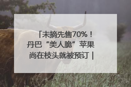 未摘先售70%！丹巴“美人脆”苹果尚在枝头就被预订｜长征路上看四川