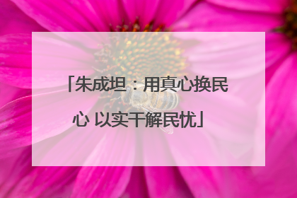 朱成坦：用真心换民心 以实干解民忧