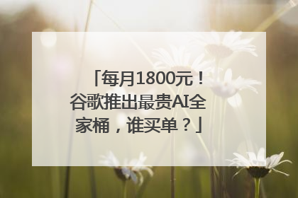 每月1800元！谷歌推出最贵AI全家桶，谁买单？