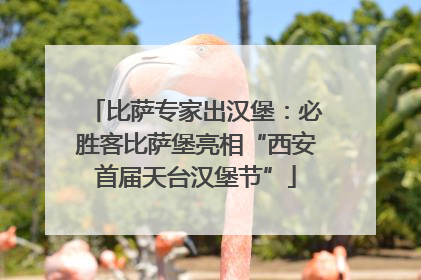 比萨专家出汉堡：必胜客比萨堡亮相“西安首届天台汉堡节”