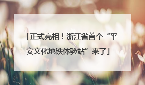 正式亮相！浙江省首个“平安文化地铁体验站”来了