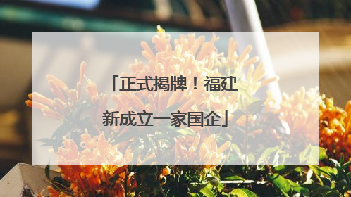 正式揭牌！福建新成立一家国企