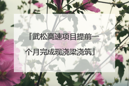 武松高速项目提前一个月完成现浇梁浇筑