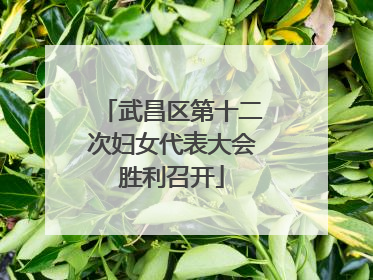 武昌区第十二次妇女代表大会胜利召开