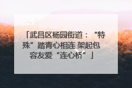 武昌区杨园街道：“特殊”踏青心相连 架起包容友爱“连心桥”