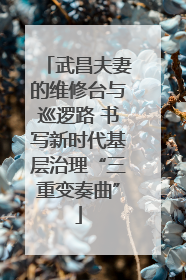 武昌夫妻的维修台与巡逻路 书写新时代基层治理“三重变奏曲”