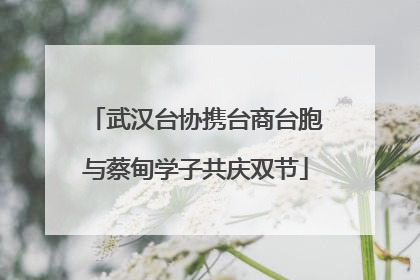 武汉台协携台商台胞与蔡甸学子共庆双节