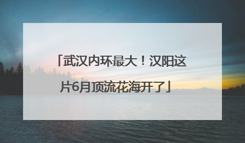 武汉内环最大！汉阳这片6月顶流花海开了