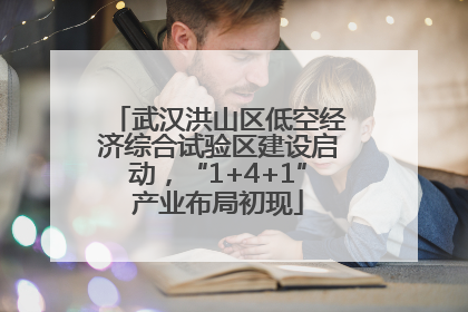 武汉洪山区低空经济综合试验区建设启动，“1+4+1”产业布局初现