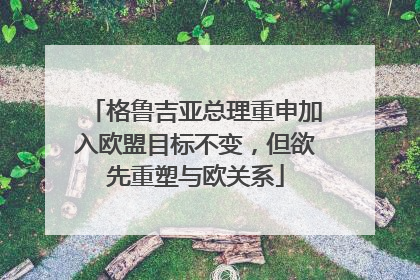 格鲁吉亚总理重申加入欧盟目标不变，但欲先重塑与欧关系
