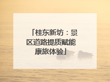 桂东新坊：景区道路提质赋能康旅体验