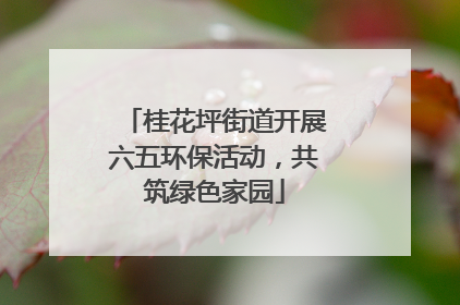 桂花坪街道开展六五环保活动，共筑绿色家园