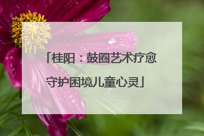 桂阳：鼓圈艺术疗愈守护困境儿童心灵