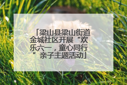 梁山县梁山街道金城社区开展“欢乐六一，童心同行”亲子主题活动