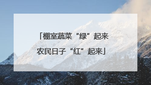 棚室蔬菜“绿”起来 农民日子“红”起来