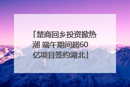 楚商回乡投资掀热潮 端午期间超60亿项目签约湖北
