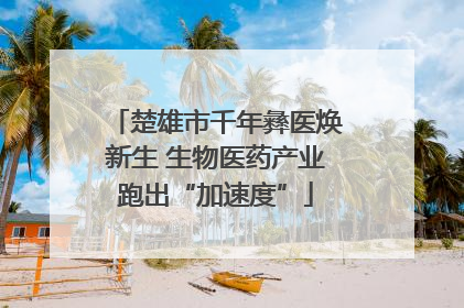 楚雄市千年彝医焕新生 生物医药产业跑出“加速度”