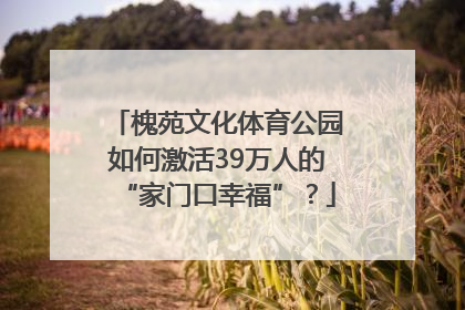 槐苑文化体育公园如何激活39万人的“家门口幸福”？
