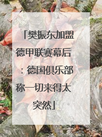 樊振东加盟德甲联赛幕后：德国俱乐部称一切来得太突然