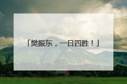 樊振东，一日四胜！