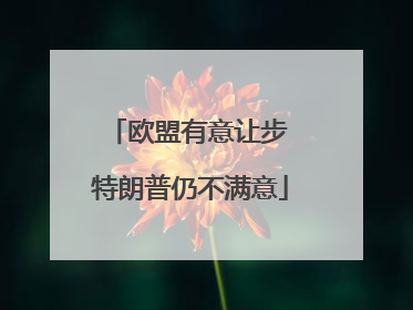 欧盟有意让步 特朗普仍不满意
