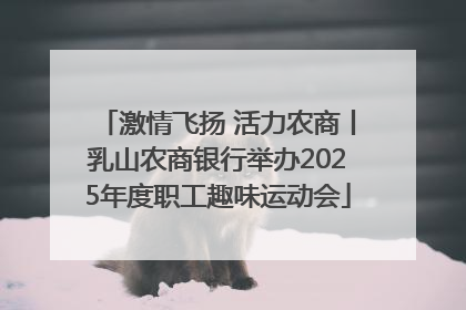 激情飞扬 活力农商丨乳山农商银行举办2025年度职工趣味运动会