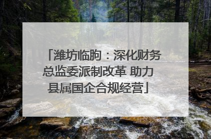 潍坊临朐：深化财务总监委派制改革 助力县属国企合规经营