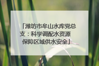 潍坊市牟山水库党总支：科学调配水资源 保障区域供水安全