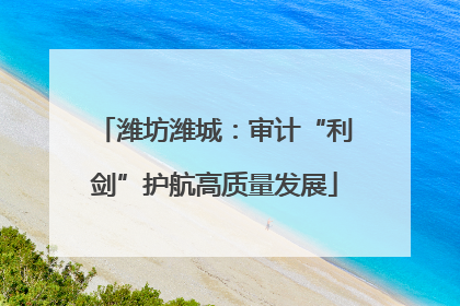 潍坊潍城：审计“利剑”护航高质量发展