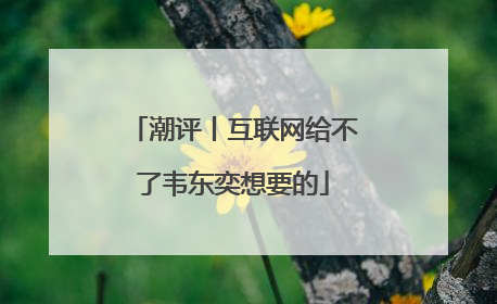 潮评丨互联网给不了韦东奕想要的