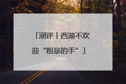 潮评丨西湖不欢迎“粗暴的手”