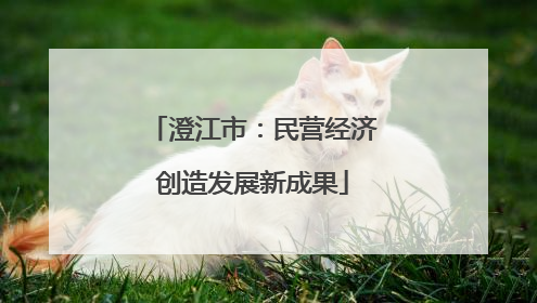 澄江市：民营经济创造发展新成果