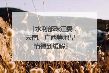 水利部珠江委：云南、广西等地旱情得到缓解