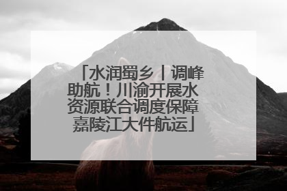 水润蜀乡丨调峰助航！川渝开展水资源联合调度保障嘉陵江大件航运