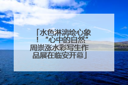 水色淋漓绘心象！“心中的自然”周崇涨水彩写生作品展在临安开幕