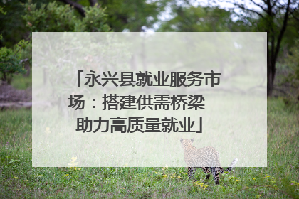 永兴县就业服务市场：搭建供需桥梁 助力高质量就业