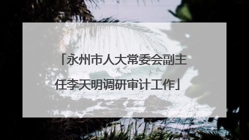 永州市人大常委会副主任李天明调研审计工作