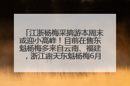 江浙杨梅采摘游本周末或迎小高峰！目前在售东魁杨梅多来自云南、福建，浙江露天东魁杨梅6月中旬大量上市