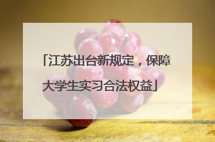 江苏出台新规定，保障大学生实习合法权益